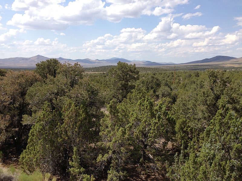 Great Basin Desert