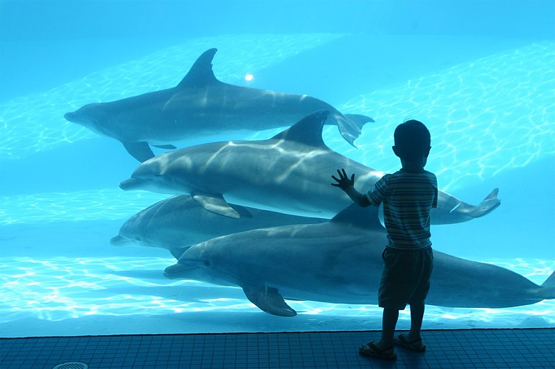 Texas State Aquarium