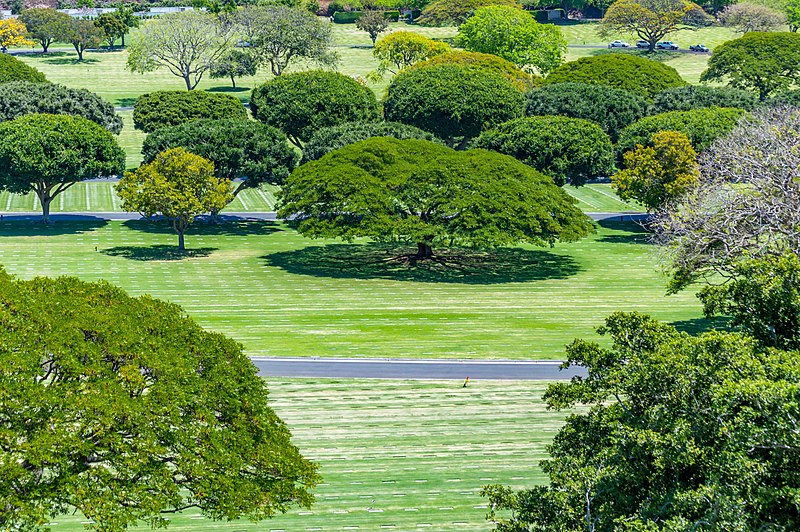 National Memorial Cemetery of the Pacific