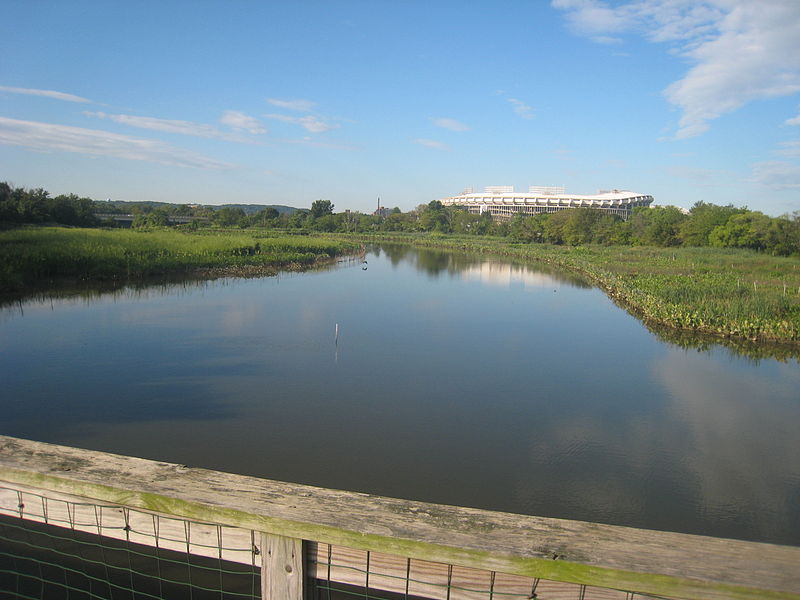 Kingman Lake, Washington D.C.