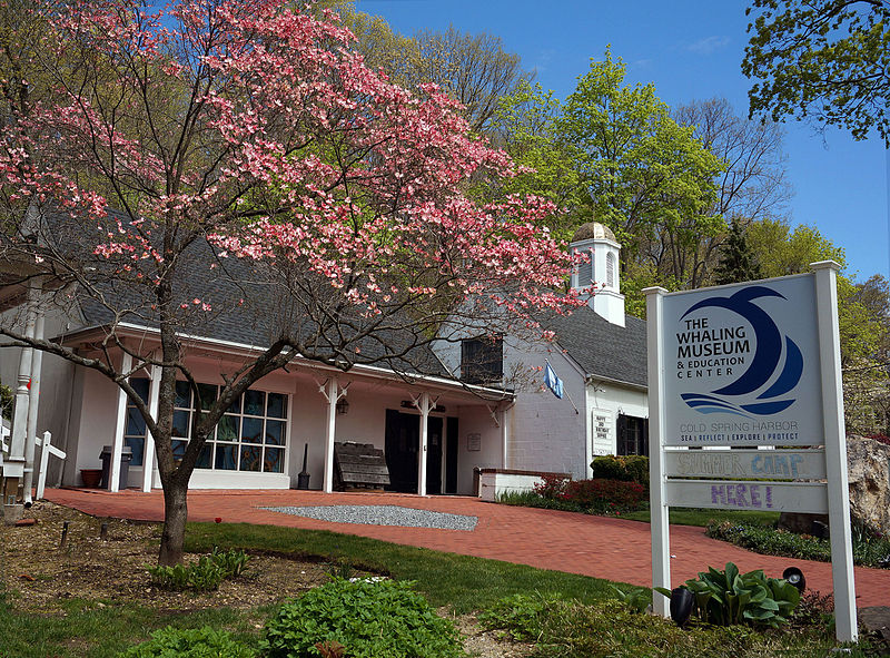 The Whaling Museum & Education Center