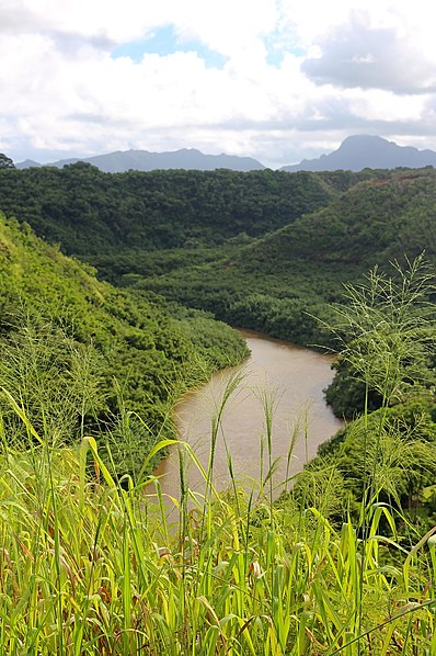 Parc d'État de Wailua River