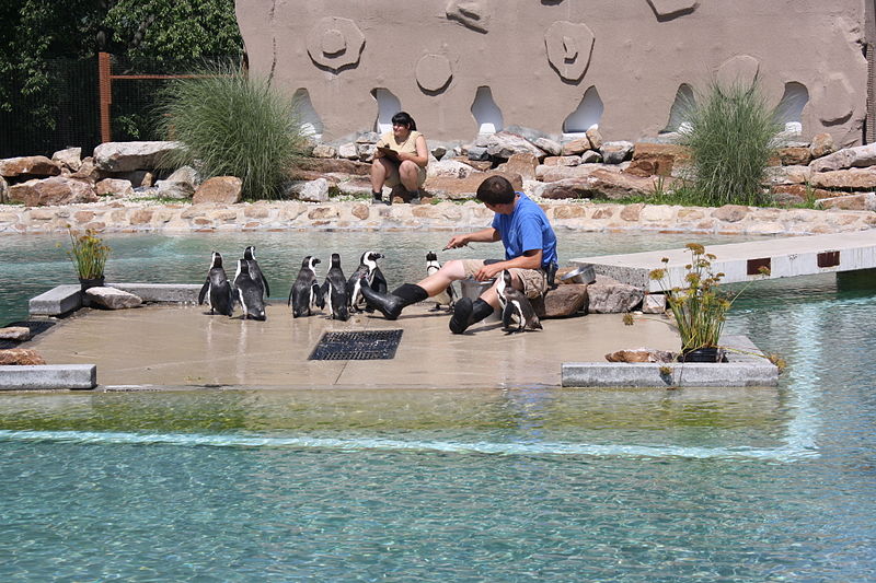 Lehigh Valley Zoo