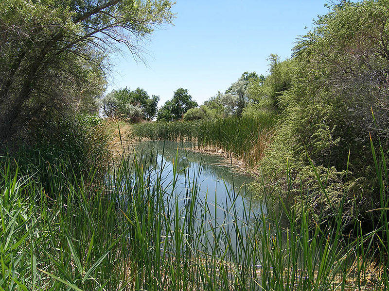 Desert National Wildlife Refuge