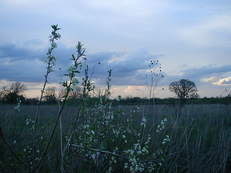 Governor Nelson State Park