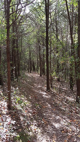 Swartswood State Park