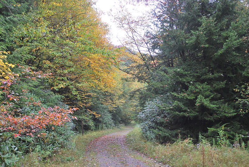 Otter Creek Wilderness