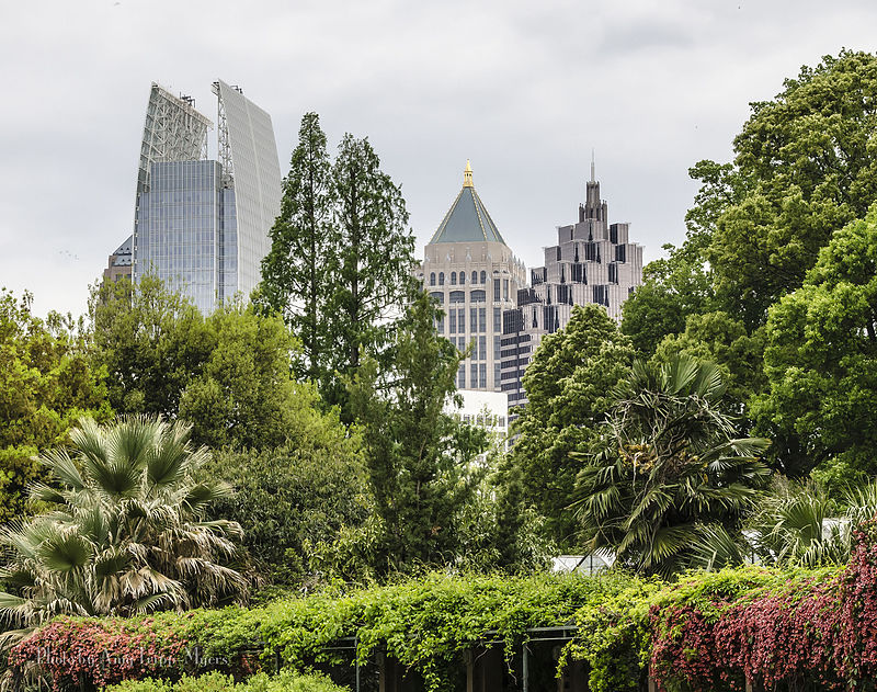 Jardín botánico de Atlanta
