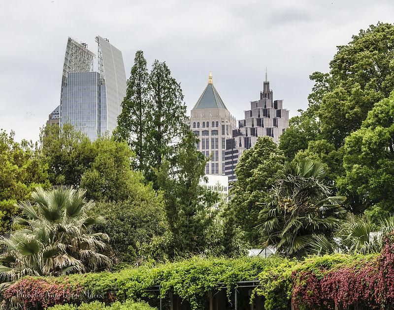 Atlanta Botanical Garden