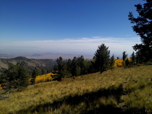 Magdalena Mountains