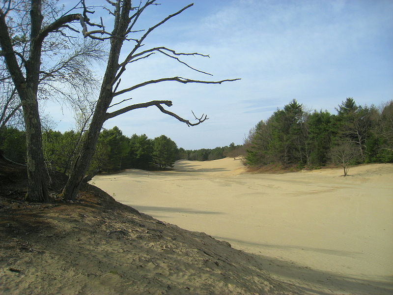 Désert du Maine