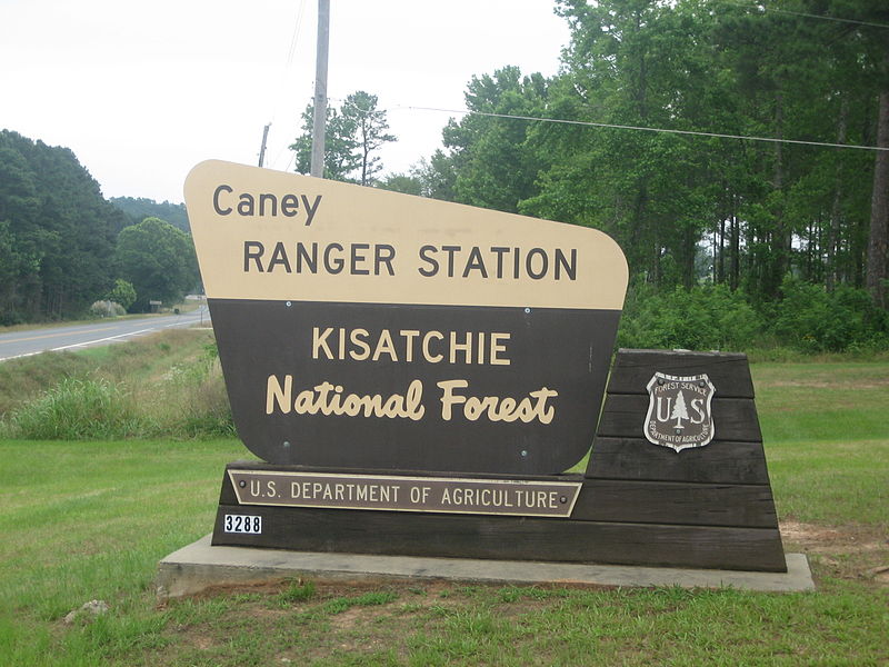 Kisatchie National Forest