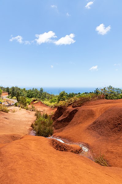 Parc d'État de Waimea Canyon