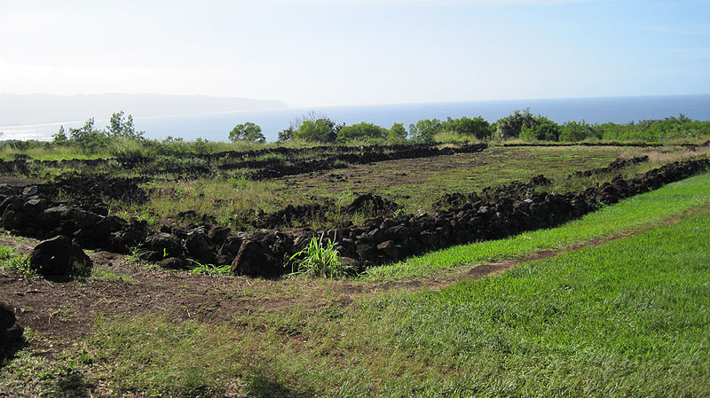 Puʻu o Mahuka Heiau State Monument
