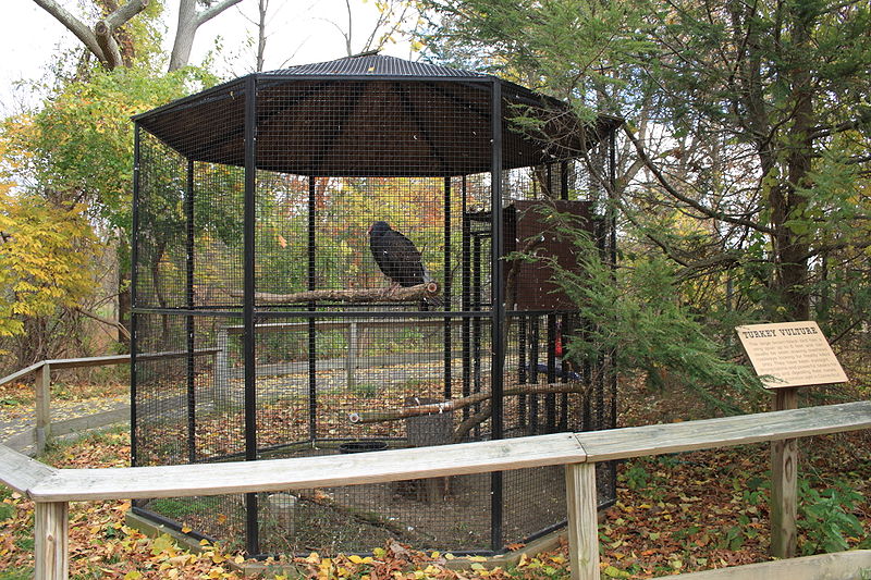 Zoológico Beardsley de Connecticut