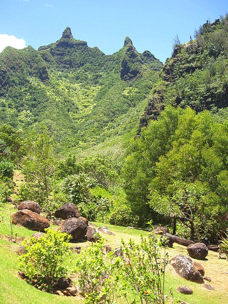 National Tropical Botanical Garden