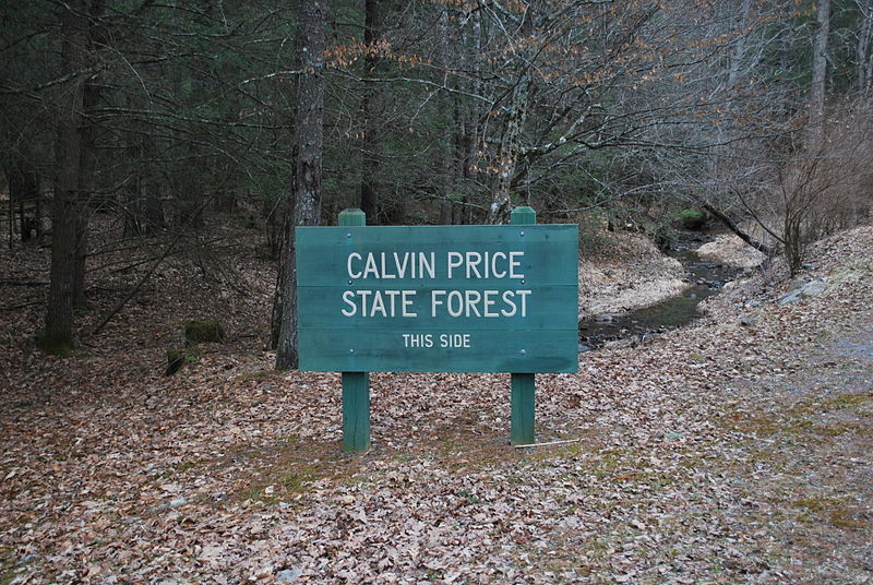 Calvin Price State Forest