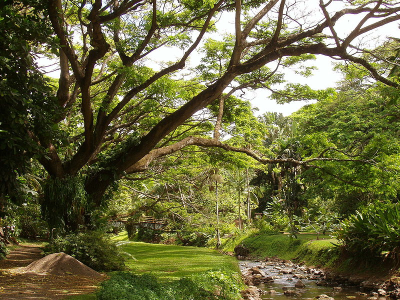 National Tropical Botanical Garden
