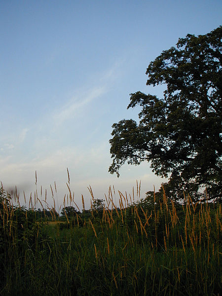 Governor Nelson State Park