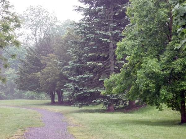 James Pass Arboretum