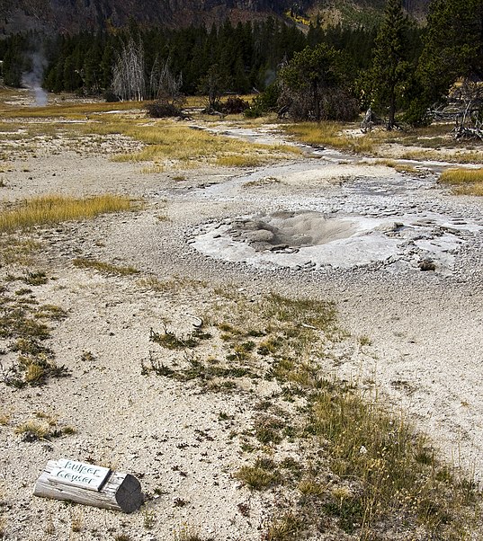 Bulger Geyser