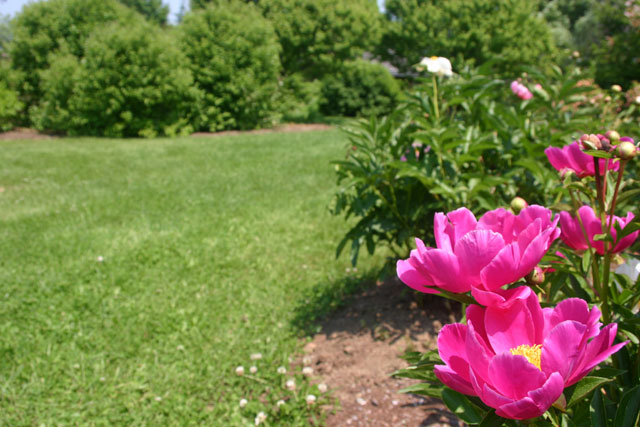 Lyle E. Littlefield Ornamentals Trial Garden