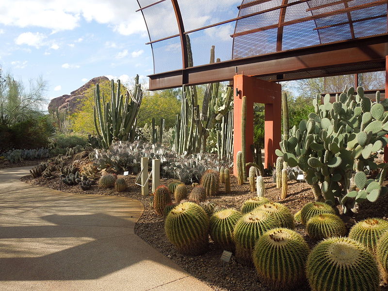 Jardín botánico del Desierto