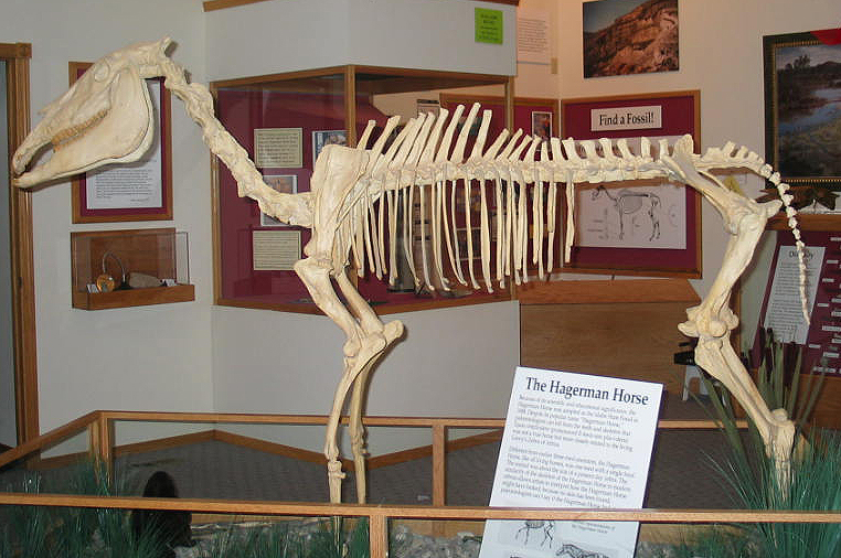 Hagerman Fossil Beds National Monument