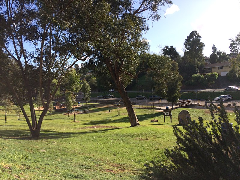 Eucalyptus Park