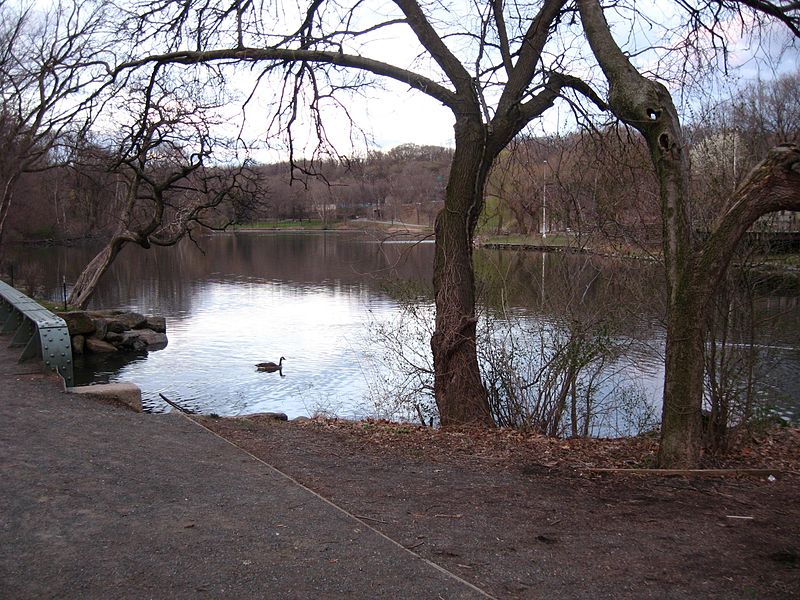 Van Cortlandt Park