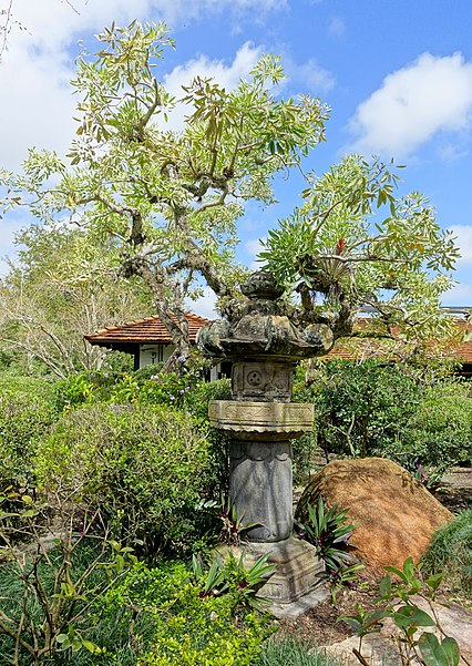 Musée et jardins japonais Morikami