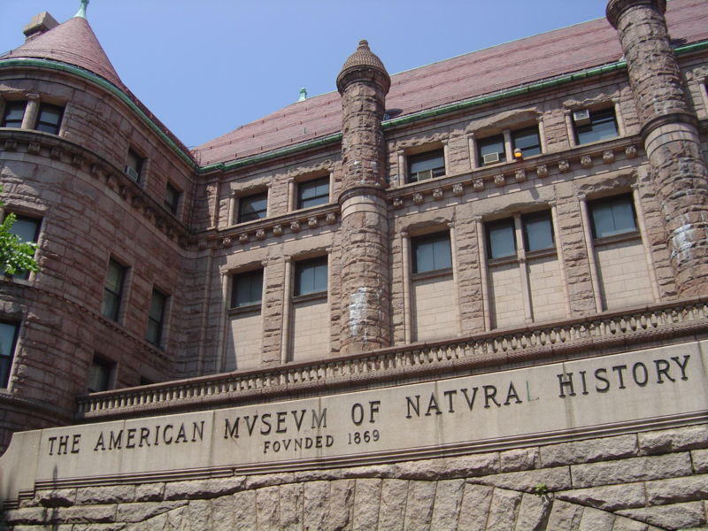 Musée américain d'histoire naturelle