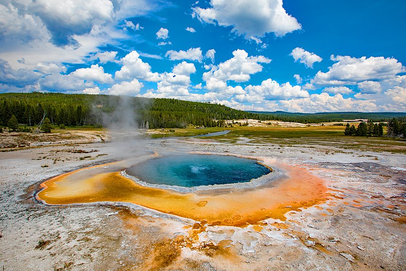 Emerald Spring