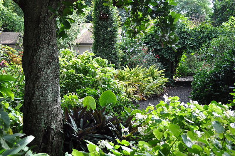 Jardín botánico Mounts