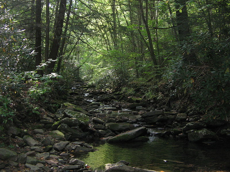 Upper Pine Bottom State Park