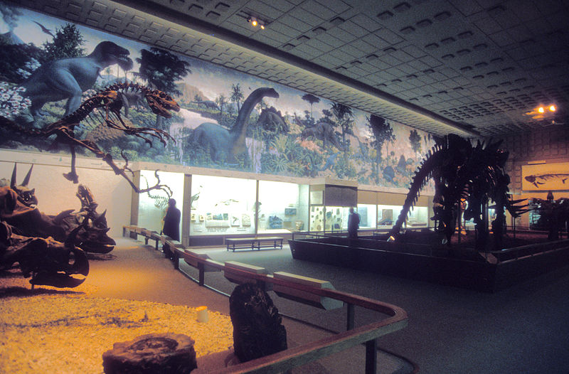 Musée Peabody d'histoire naturelle