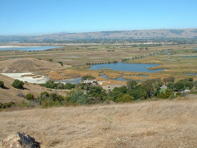 Park Regionalny Coyote Hills