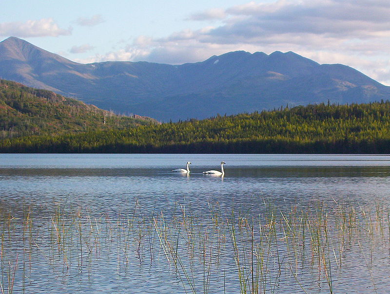 Refuge faunique national de Kenai