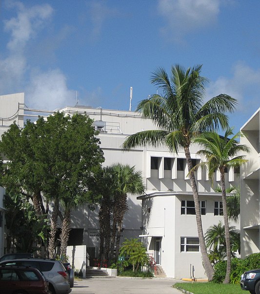 Université de Miami