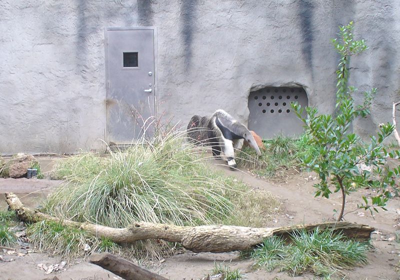 Zoo de Sacramento