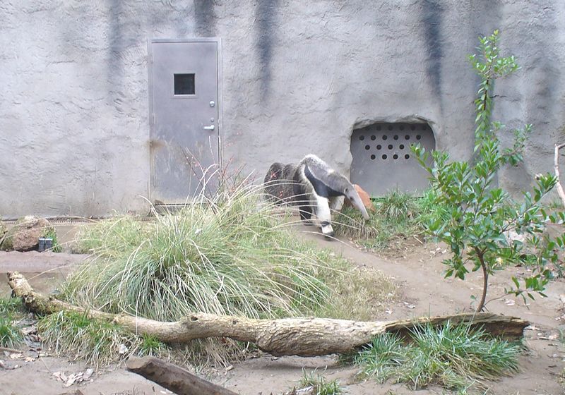 Zoológico de Sacramento