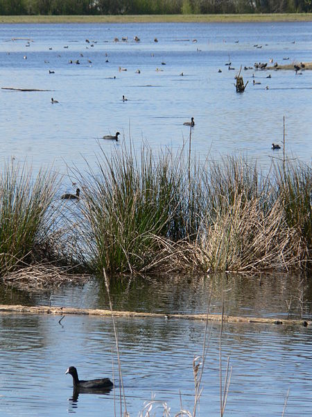 Ankeny National Wildlife Refuge