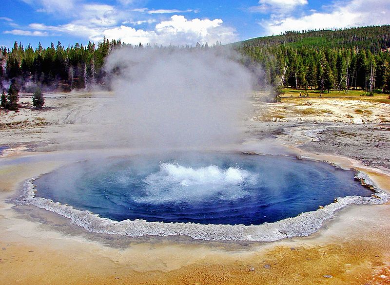 Crested Pool