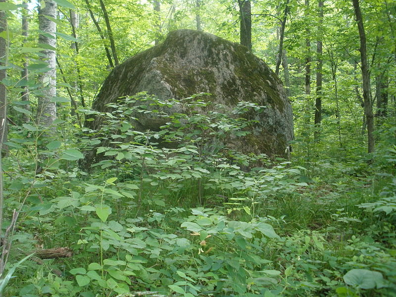 Straight Lake State Park