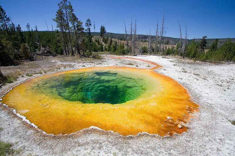 Morning Glory Pool