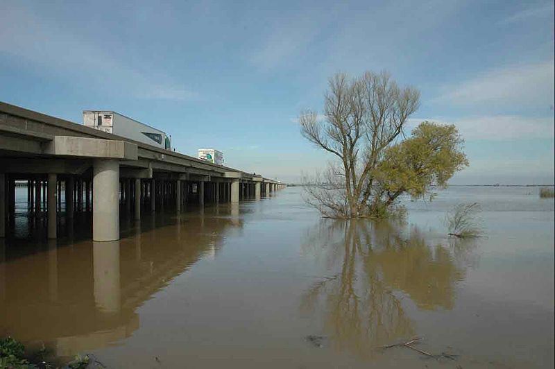 Yolo Bypass Wildlife Area