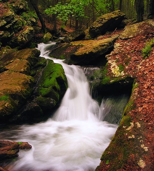 Snyder Middleswarth Natural Area