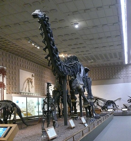 Museo Peabody de Historia Natural
