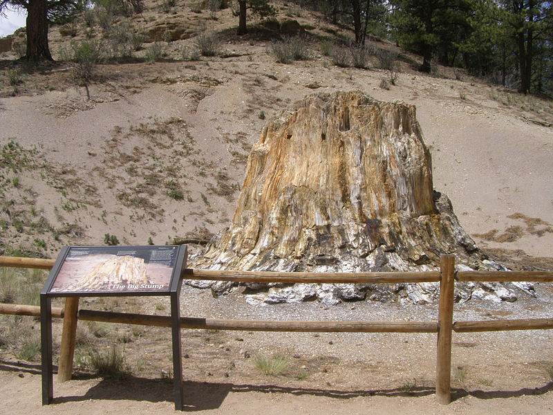 Florissant Fossil Beds National Monument