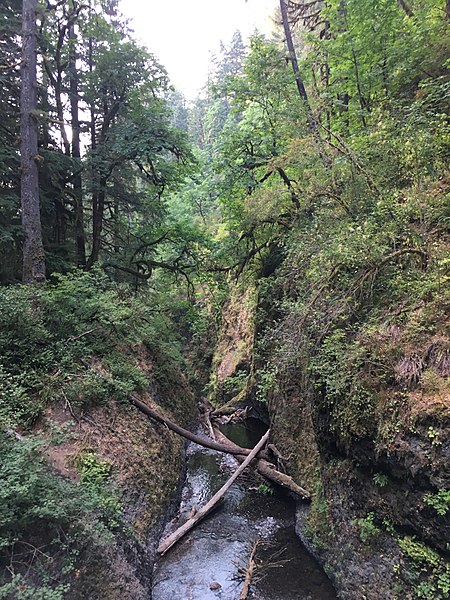 Oneonta Gorge